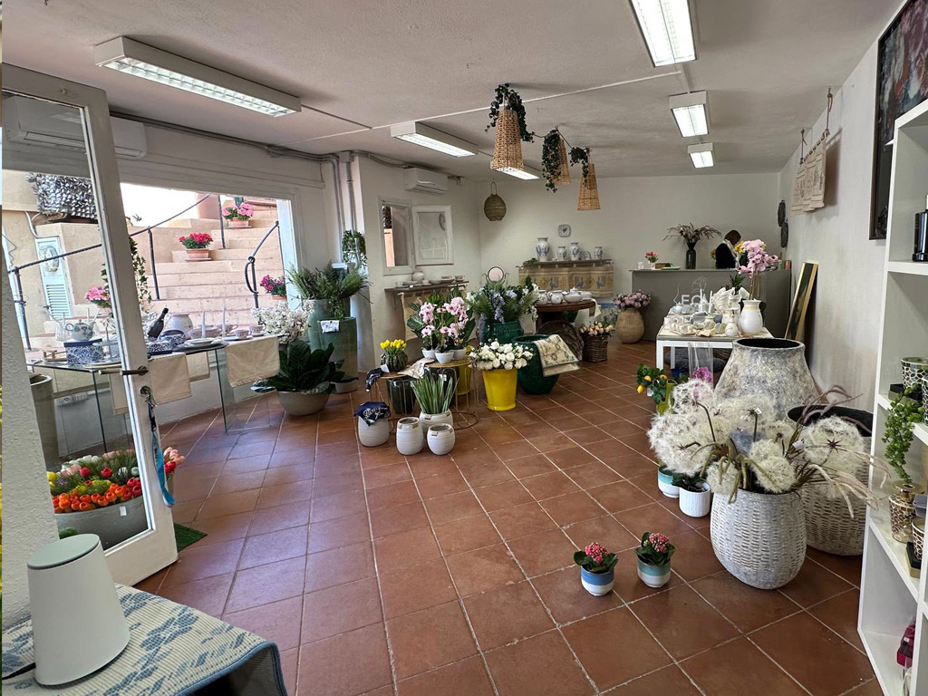 Territorio costa paradiso uncategorized 2268